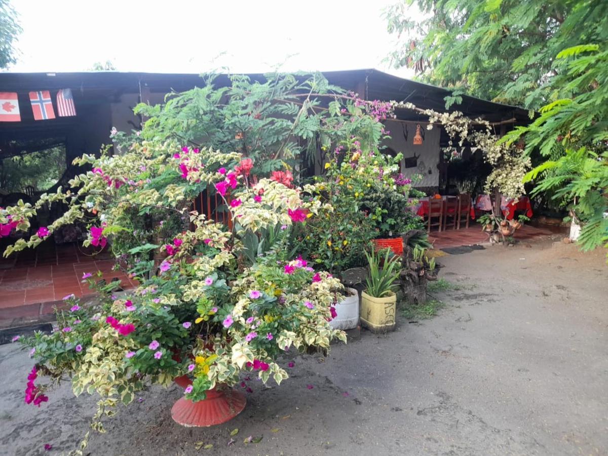 Alojamiento Casa De Campo Los Cactus Villavieja Εξωτερικό φωτογραφία