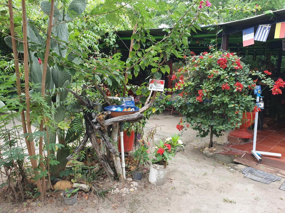 Alojamiento Casa De Campo Los Cactus Villavieja Εξωτερικό φωτογραφία