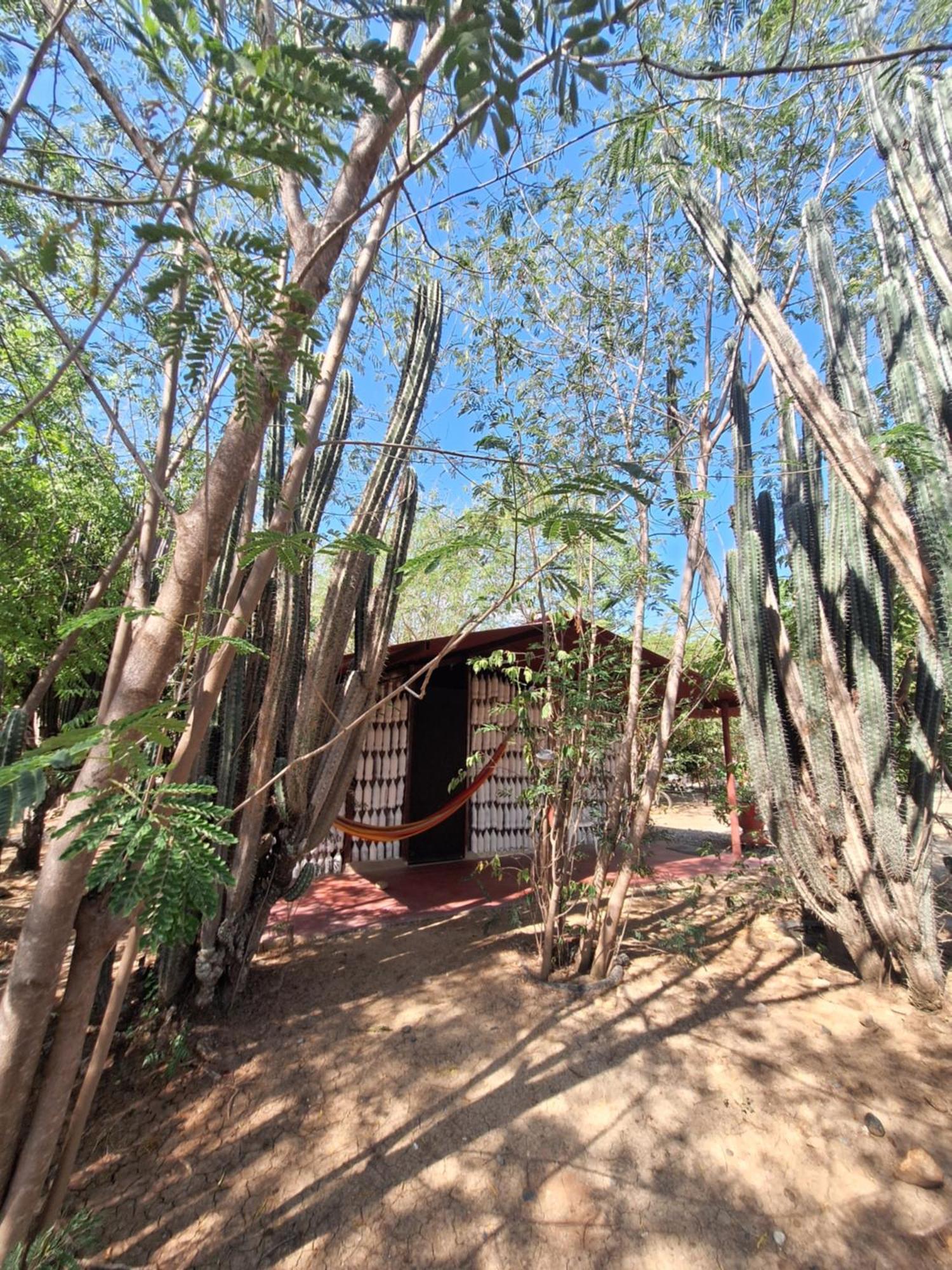 Alojamiento Casa De Campo Los Cactus Villavieja Εξωτερικό φωτογραφία