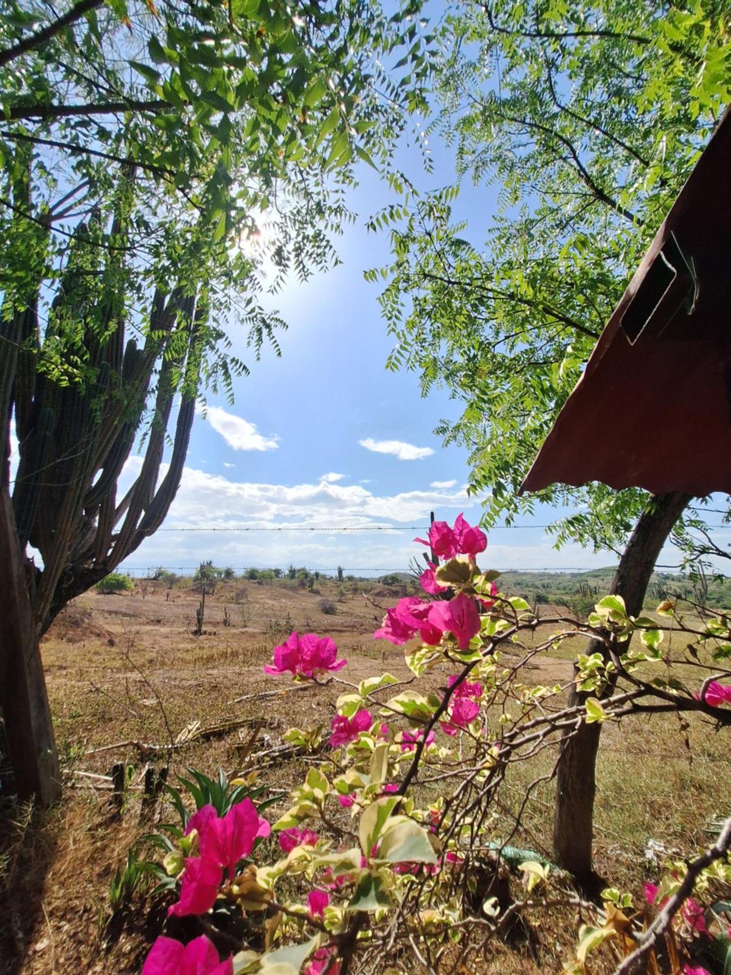 Alojamiento Casa De Campo Los Cactus Villavieja Εξωτερικό φωτογραφία