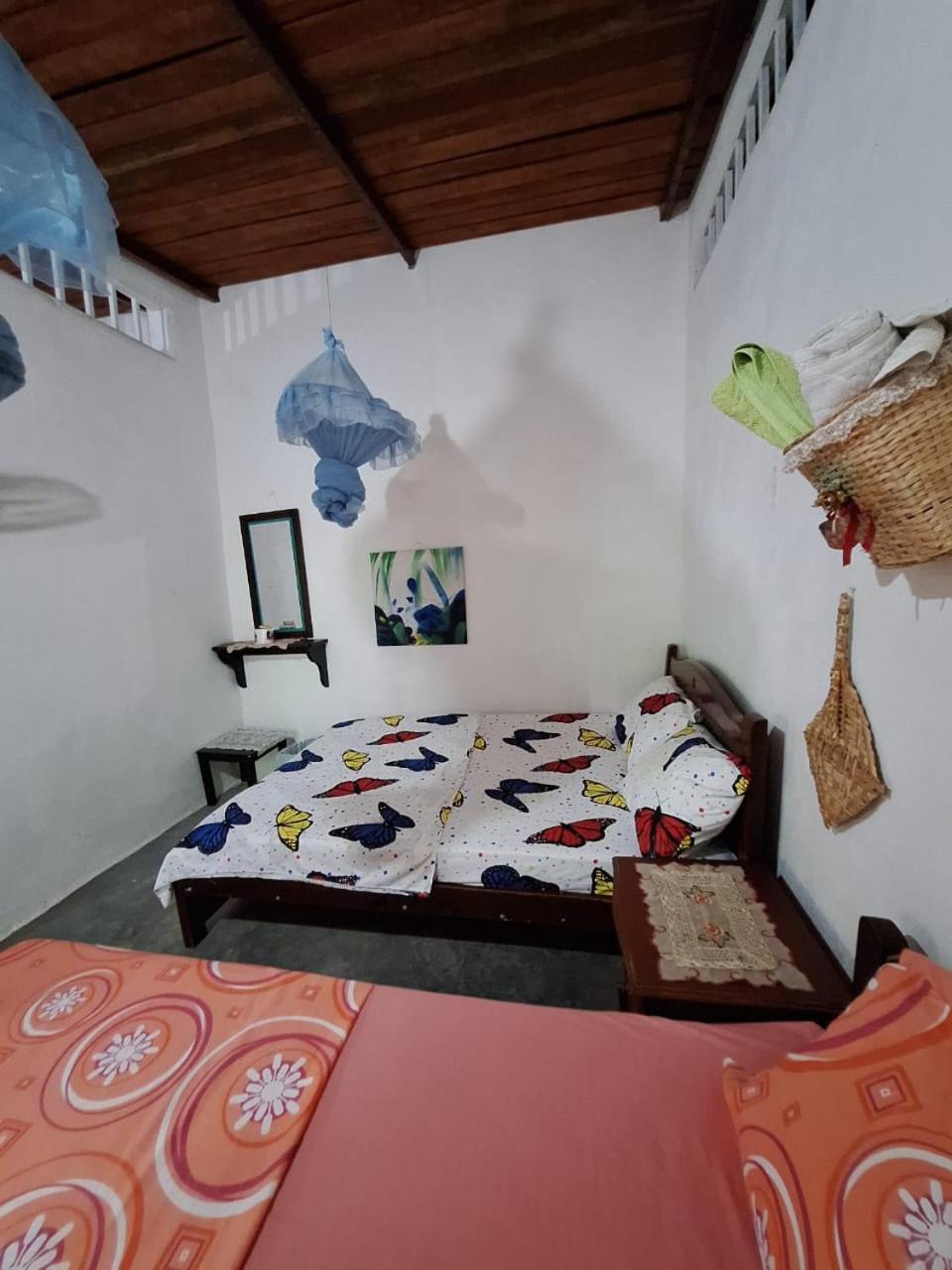 Alojamiento Casa De Campo Los Cactus Villavieja Εξωτερικό φωτογραφία