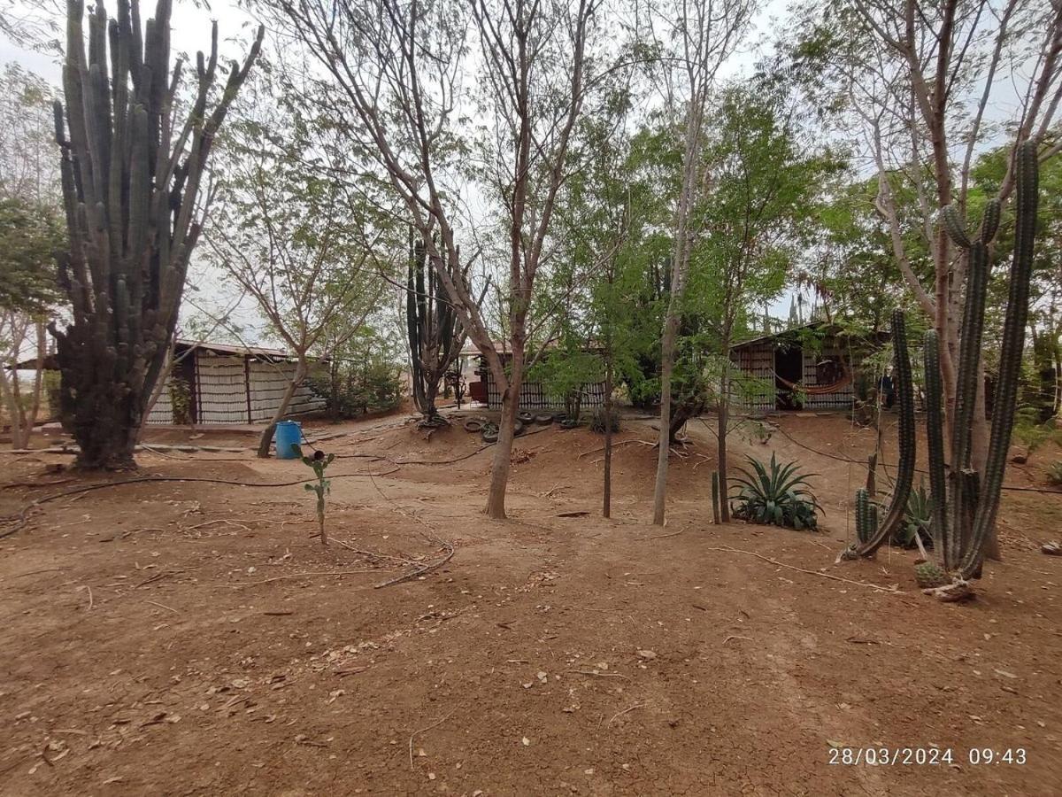 Alojamiento Casa De Campo Los Cactus Villavieja Εξωτερικό φωτογραφία
