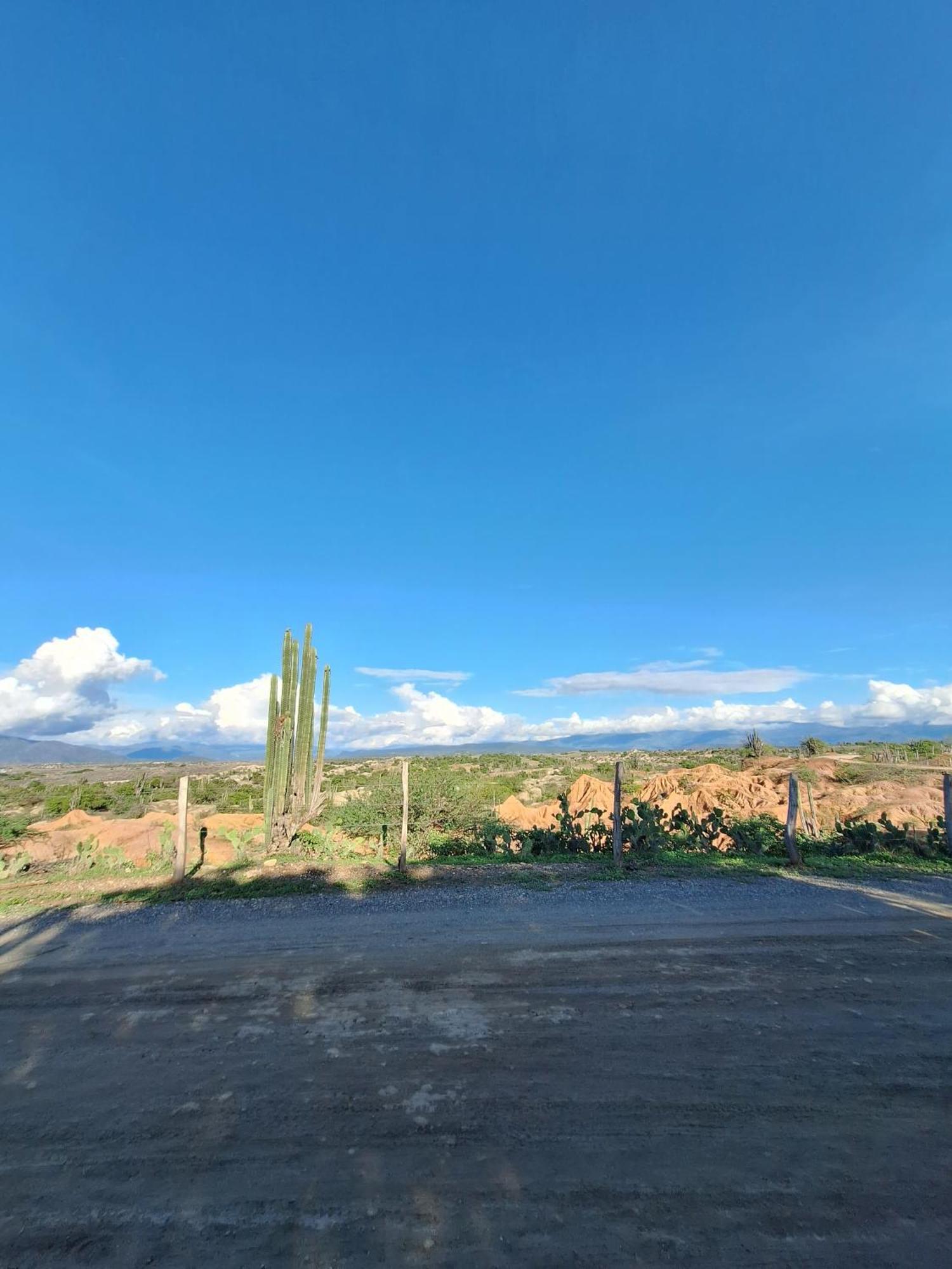 Alojamiento Casa De Campo Los Cactus Villavieja Εξωτερικό φωτογραφία