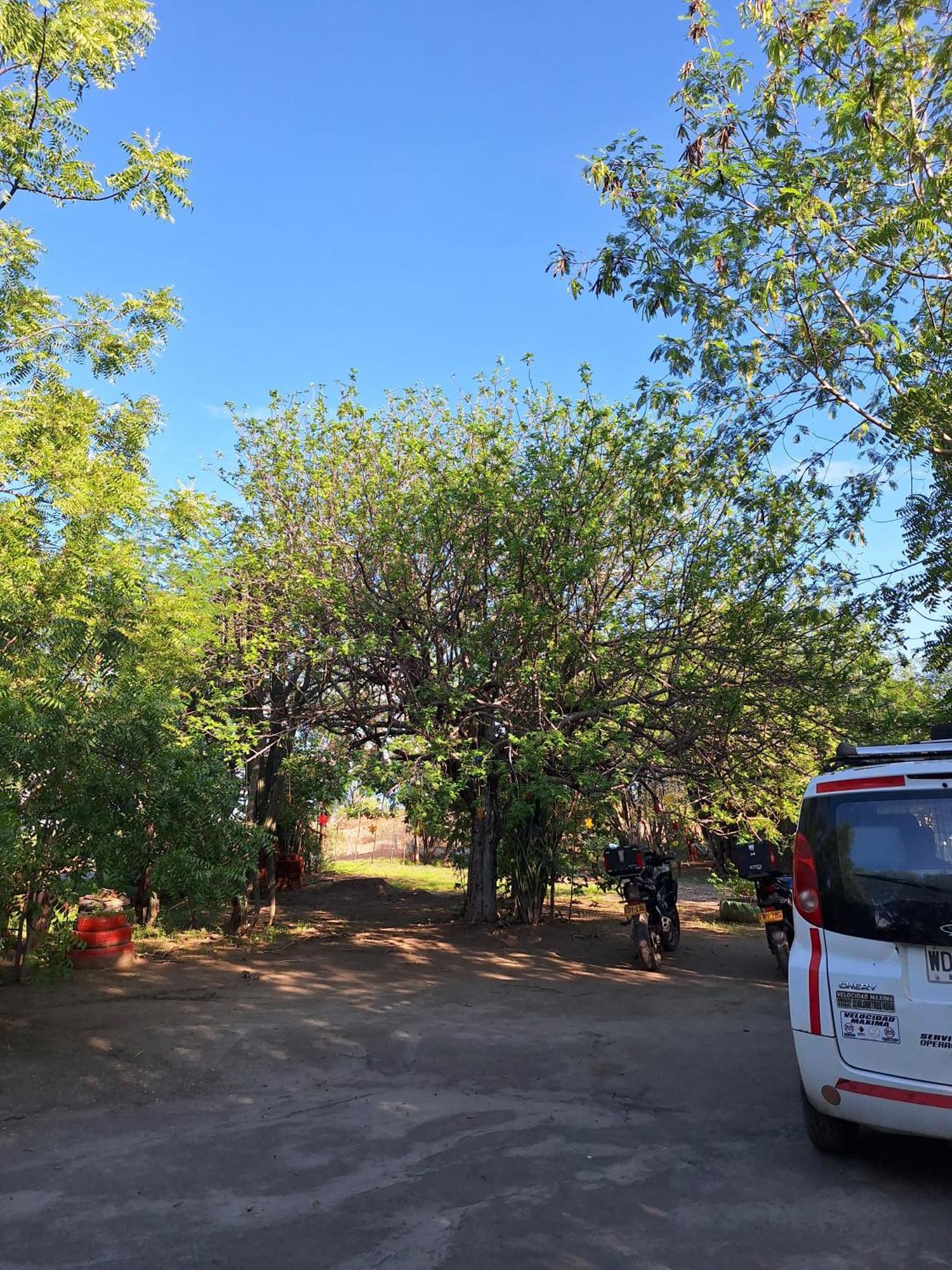 Alojamiento Casa De Campo Los Cactus Villavieja Εξωτερικό φωτογραφία