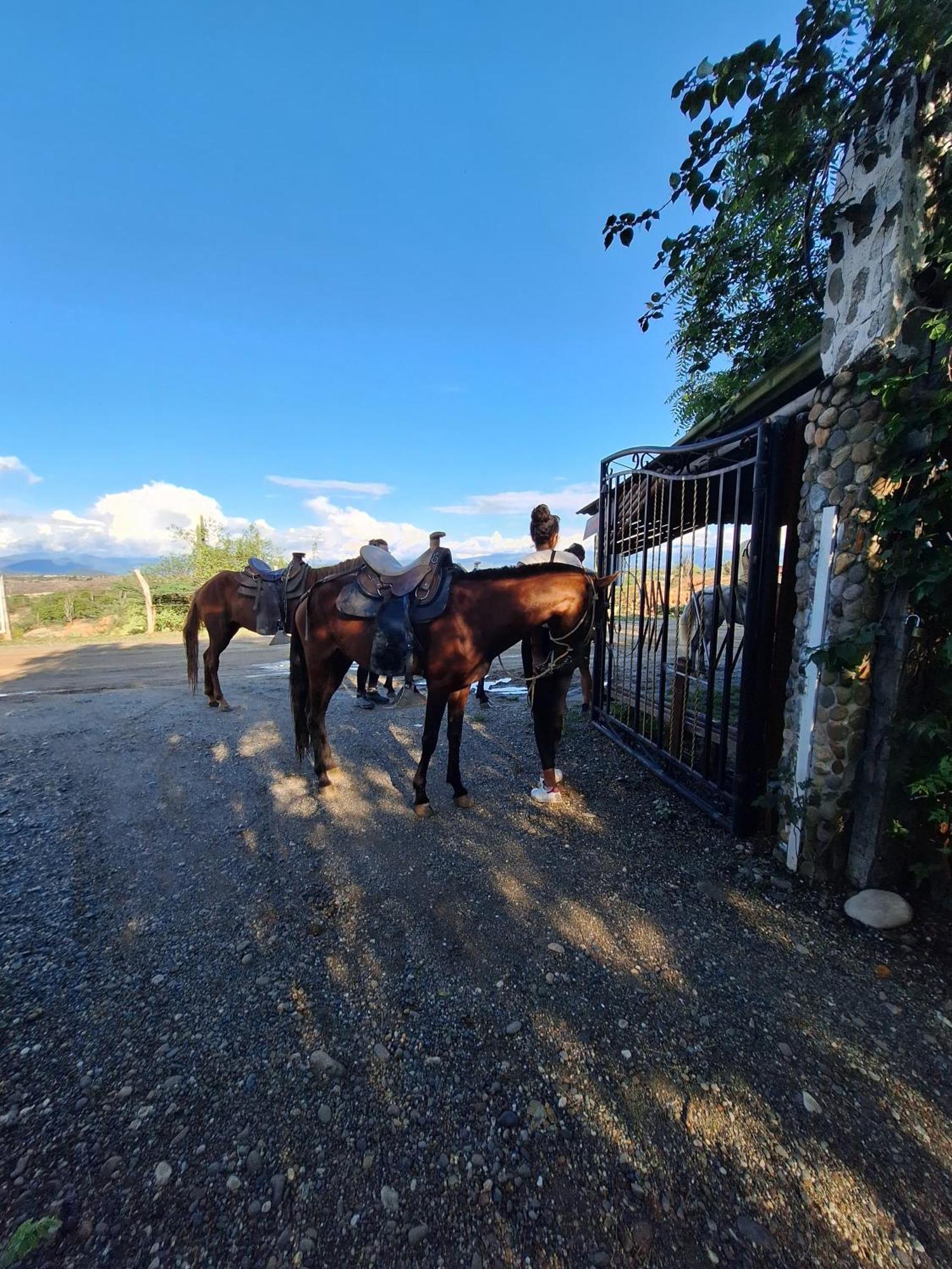Alojamiento Casa De Campo Los Cactus Villavieja Εξωτερικό φωτογραφία