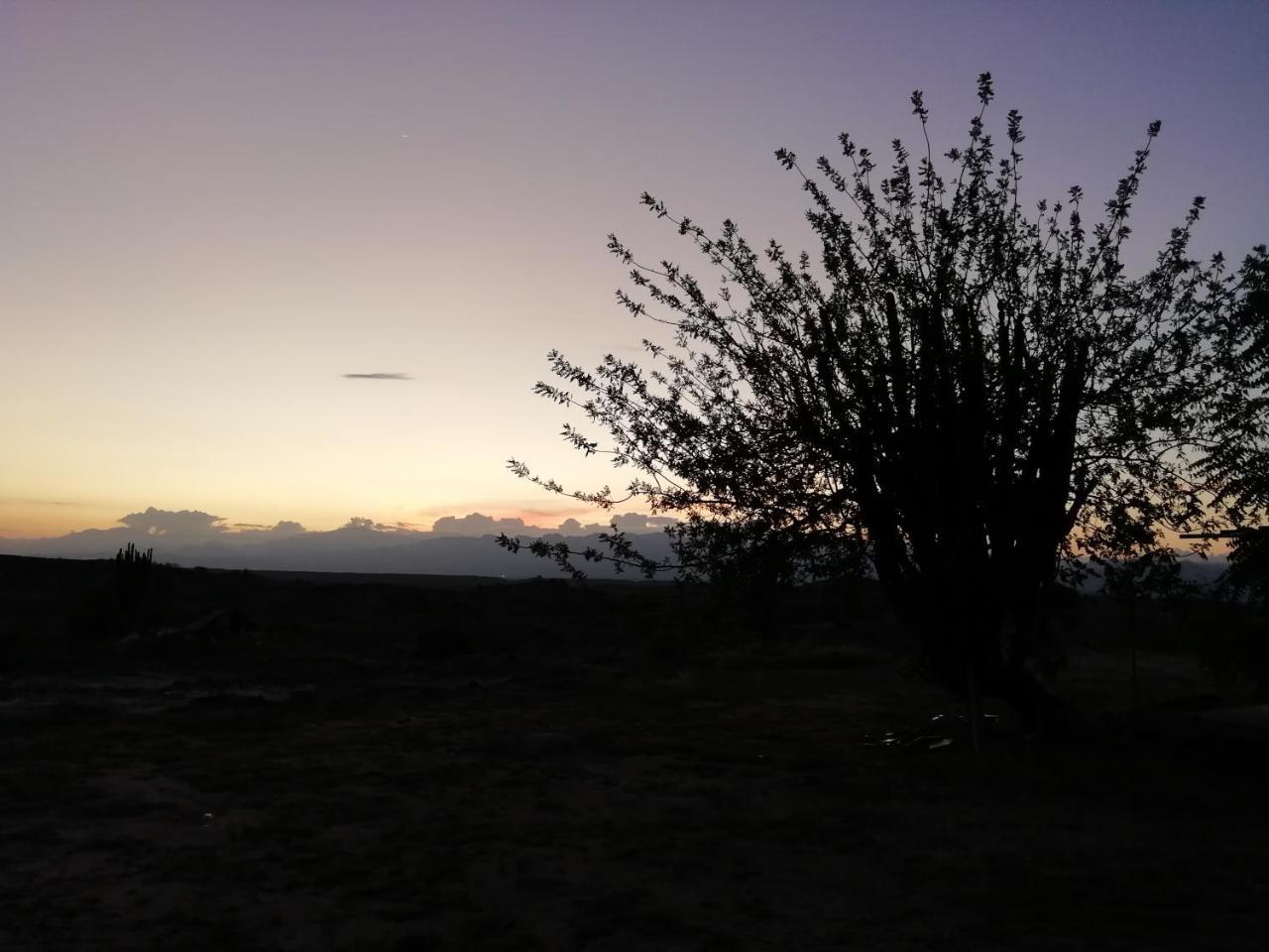 Alojamiento Casa De Campo Los Cactus Villavieja Εξωτερικό φωτογραφία
