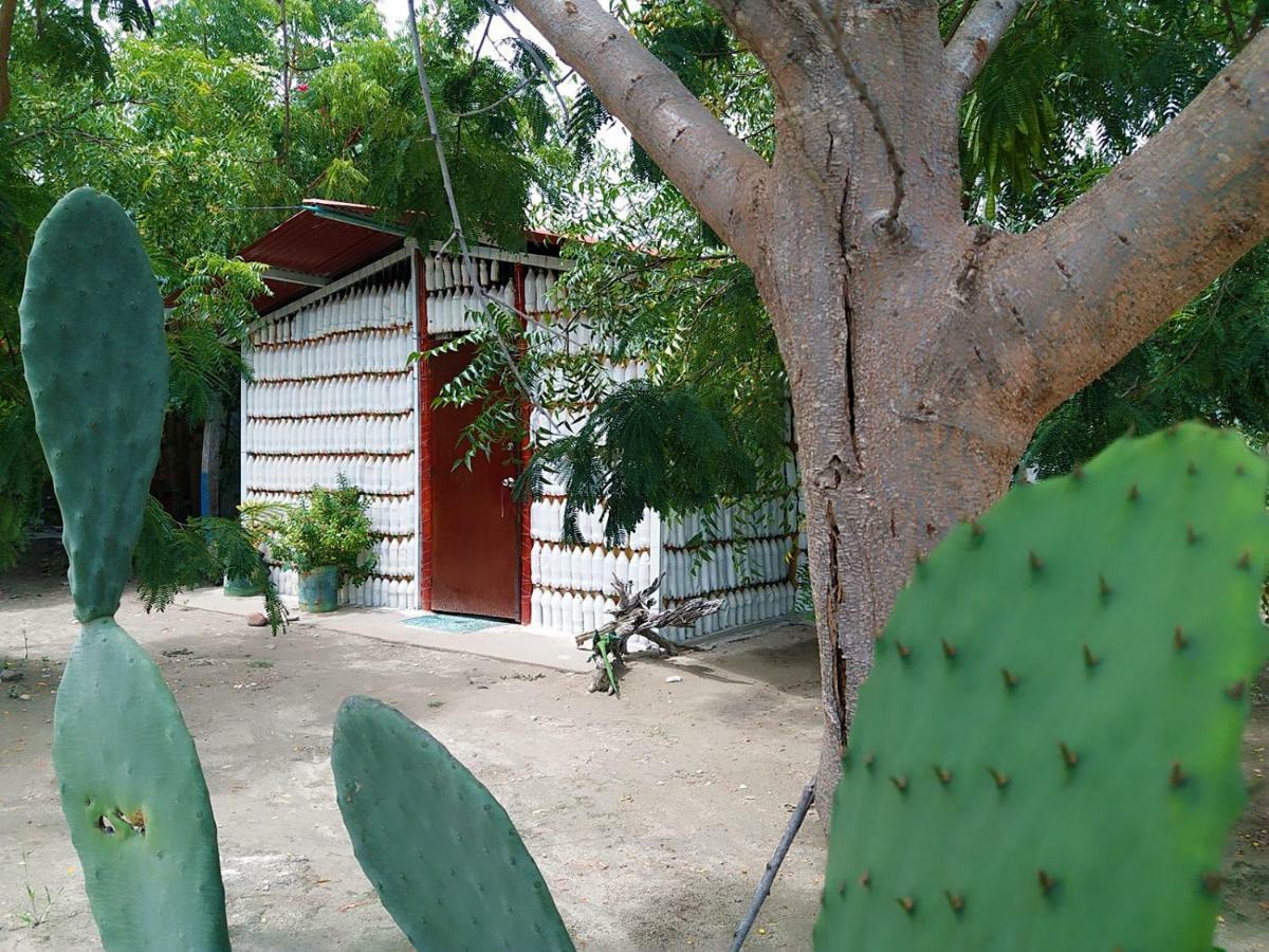 Alojamiento Casa De Campo Los Cactus Villavieja Εξωτερικό φωτογραφία