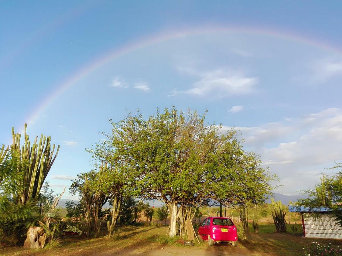 Alojamiento Casa De Campo Los Cactus Villavieja Εξωτερικό φωτογραφία